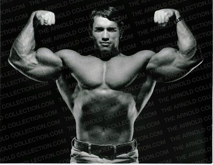 arnold - Arnold SCHWARZENEGGER - Page 3 Index.php?PHPSESSID=38197f3242fff4a37fe1ac15f4b505f6&action=dlattach;topic=420514
