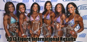 2013figureint